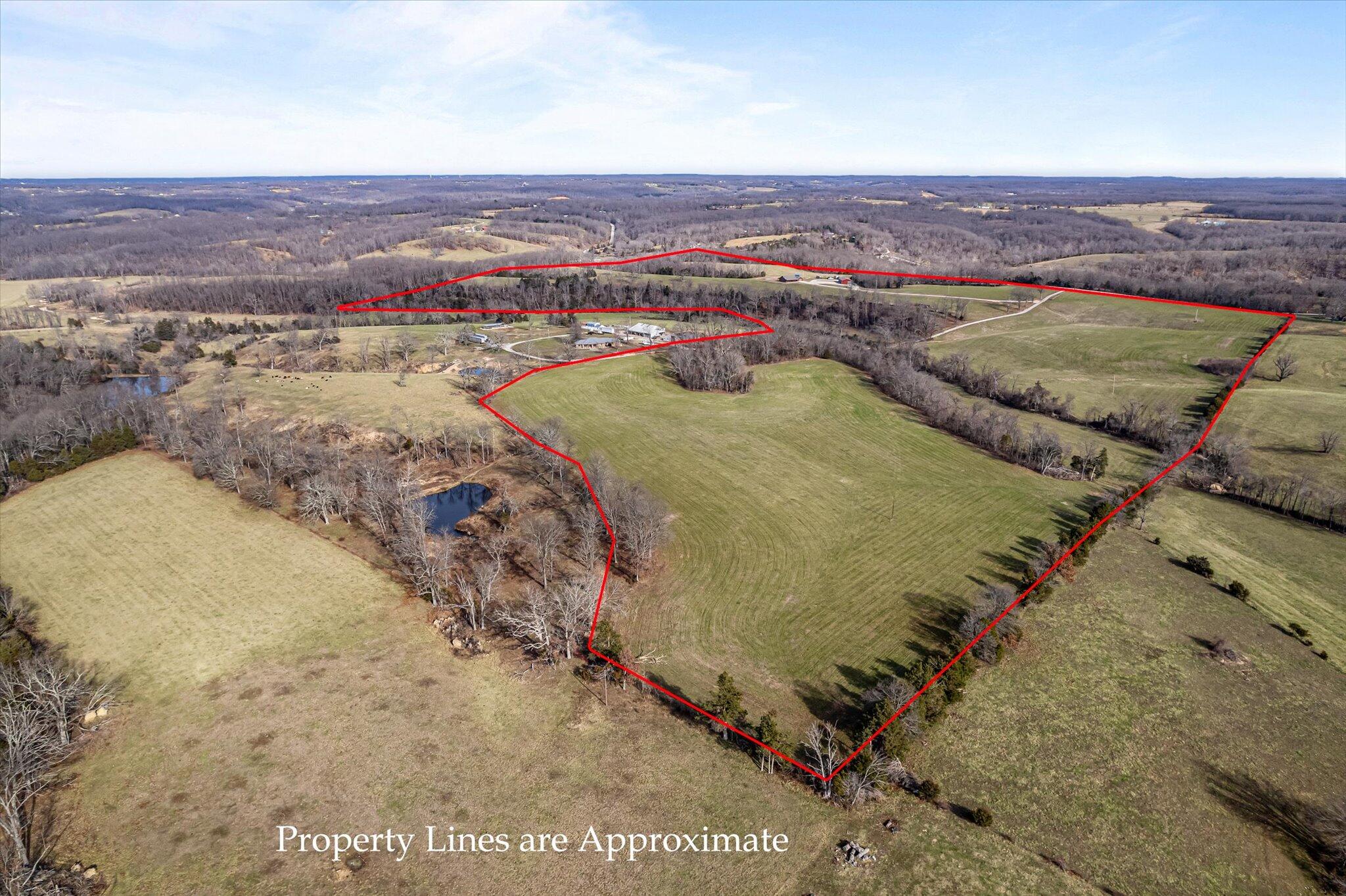 84 Buttercup Property Photo 4