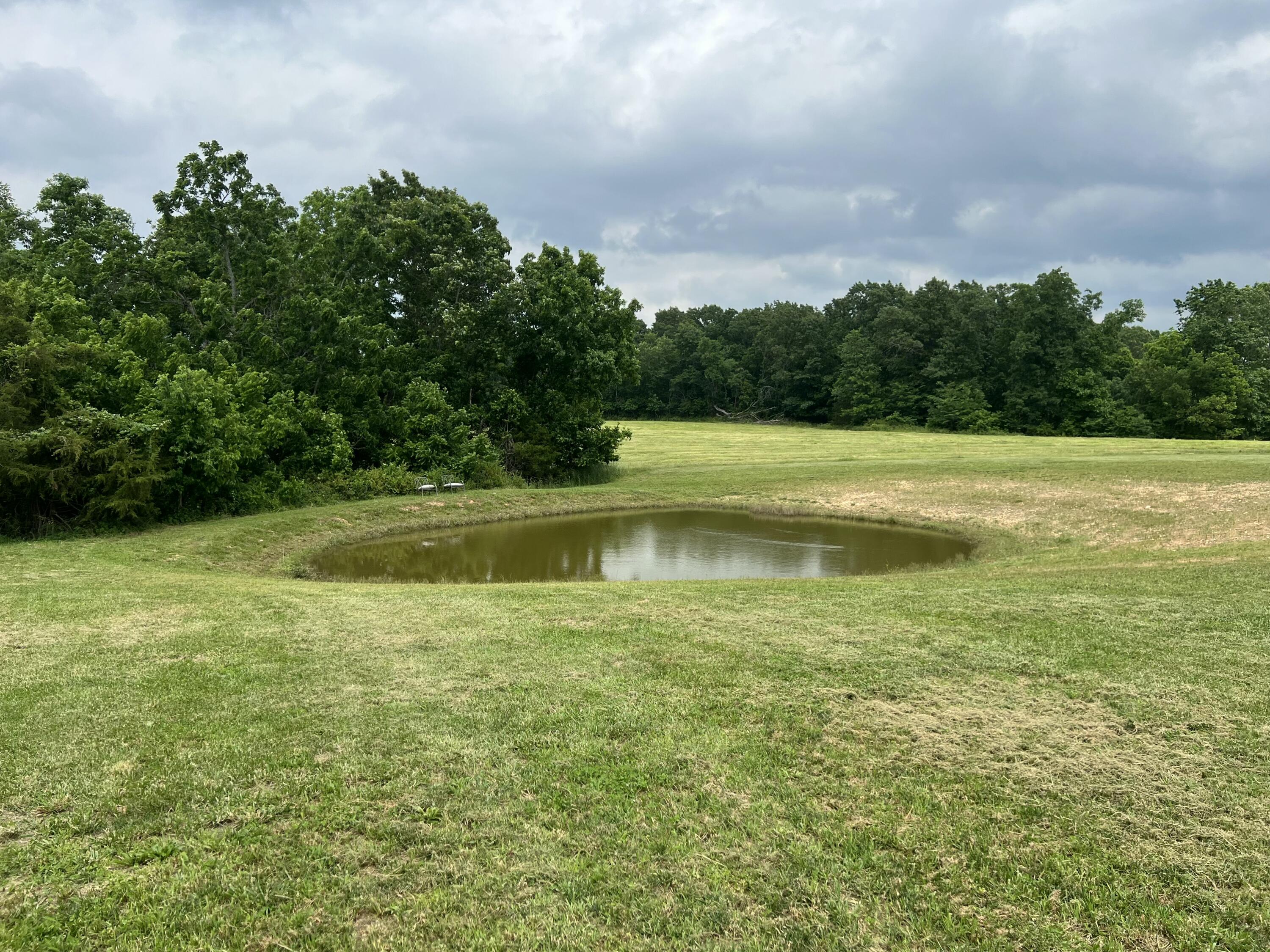84 Buttercup Property Photo 5