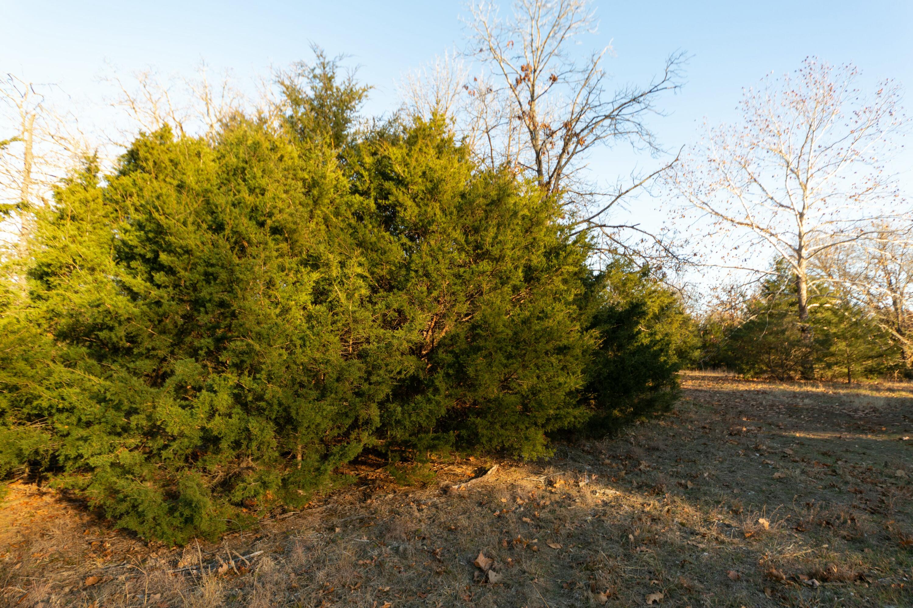 000 East Highway H Property Photo 9