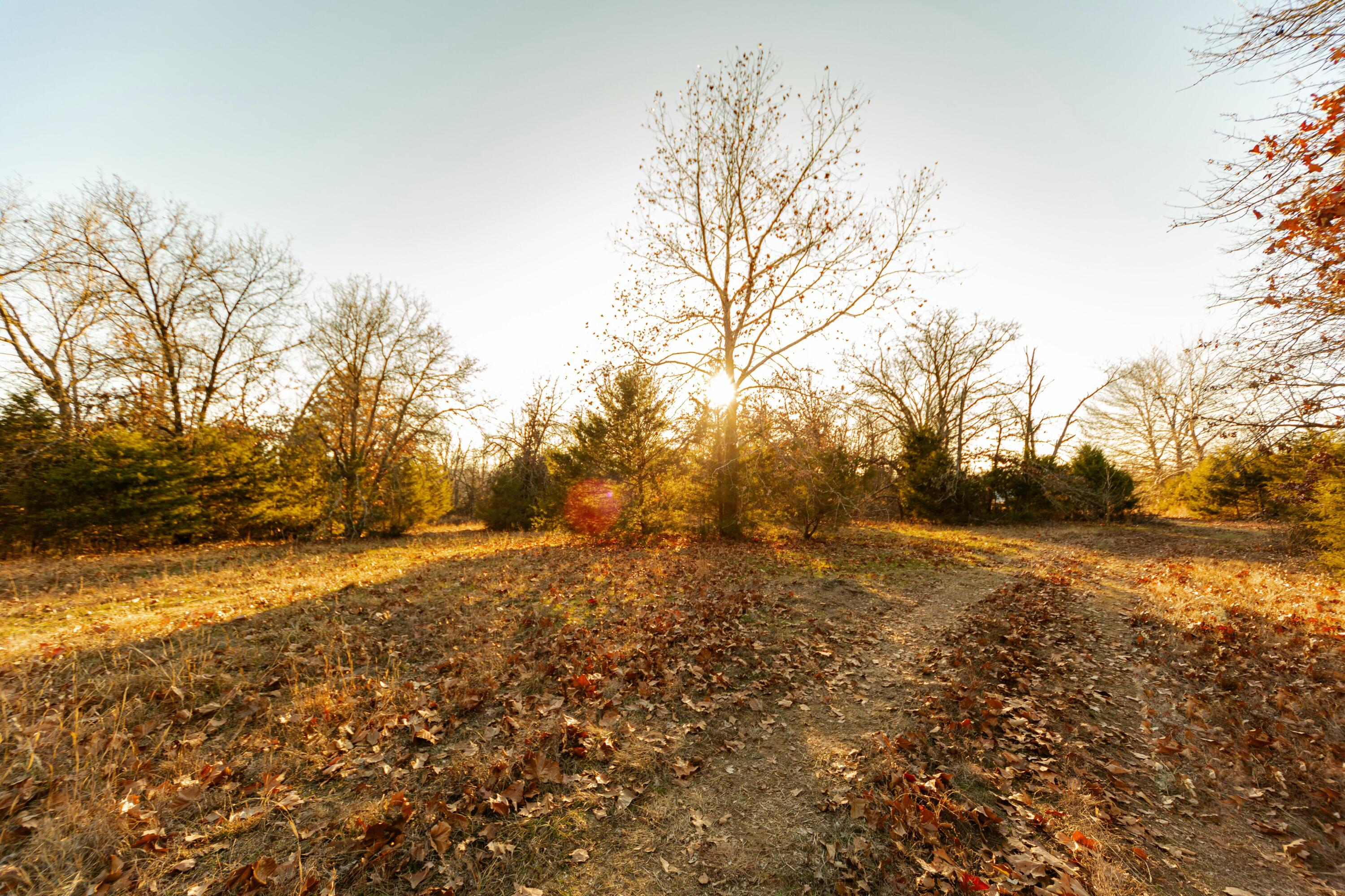 000 East Highway H Property Photo 14