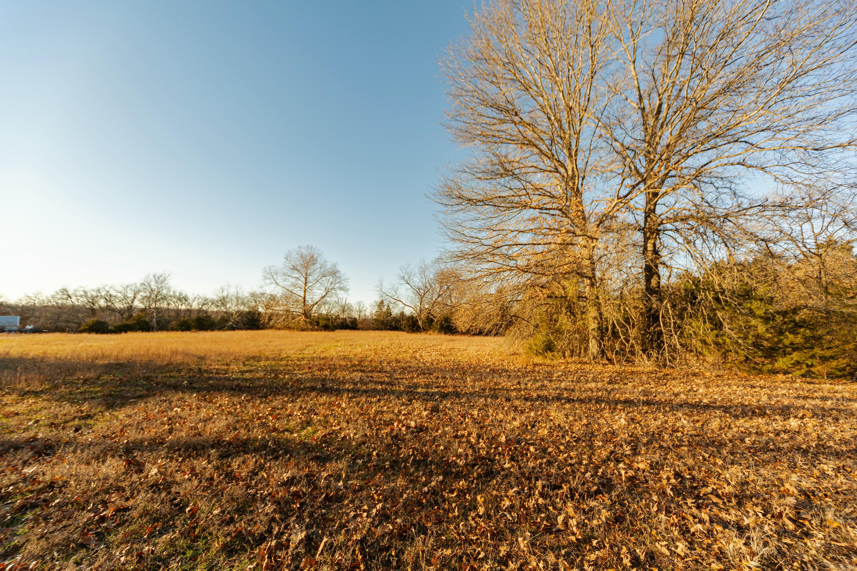 000 East Highway H Property Photo 15