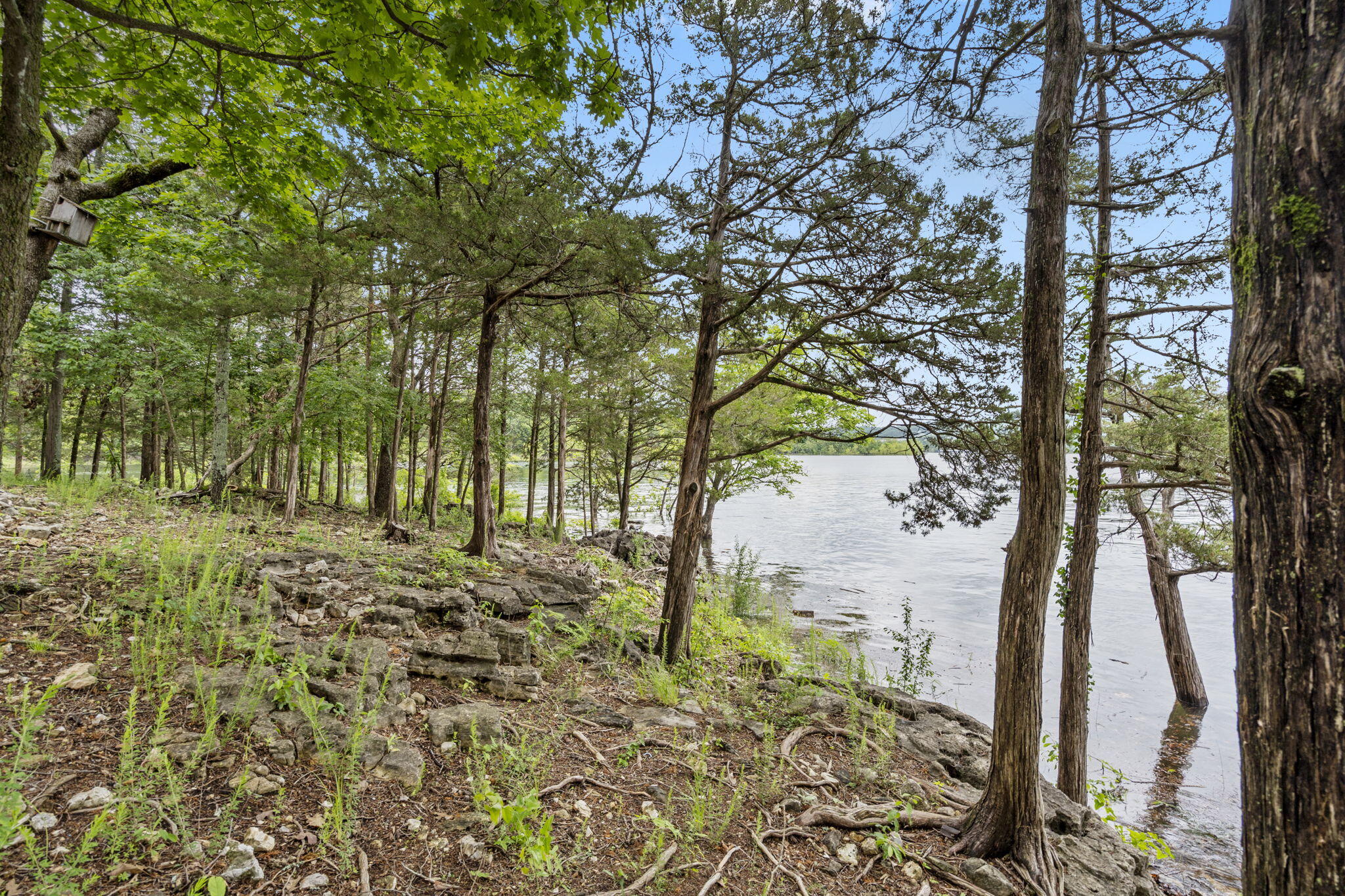 317 Scenic Drive Property Photo 66