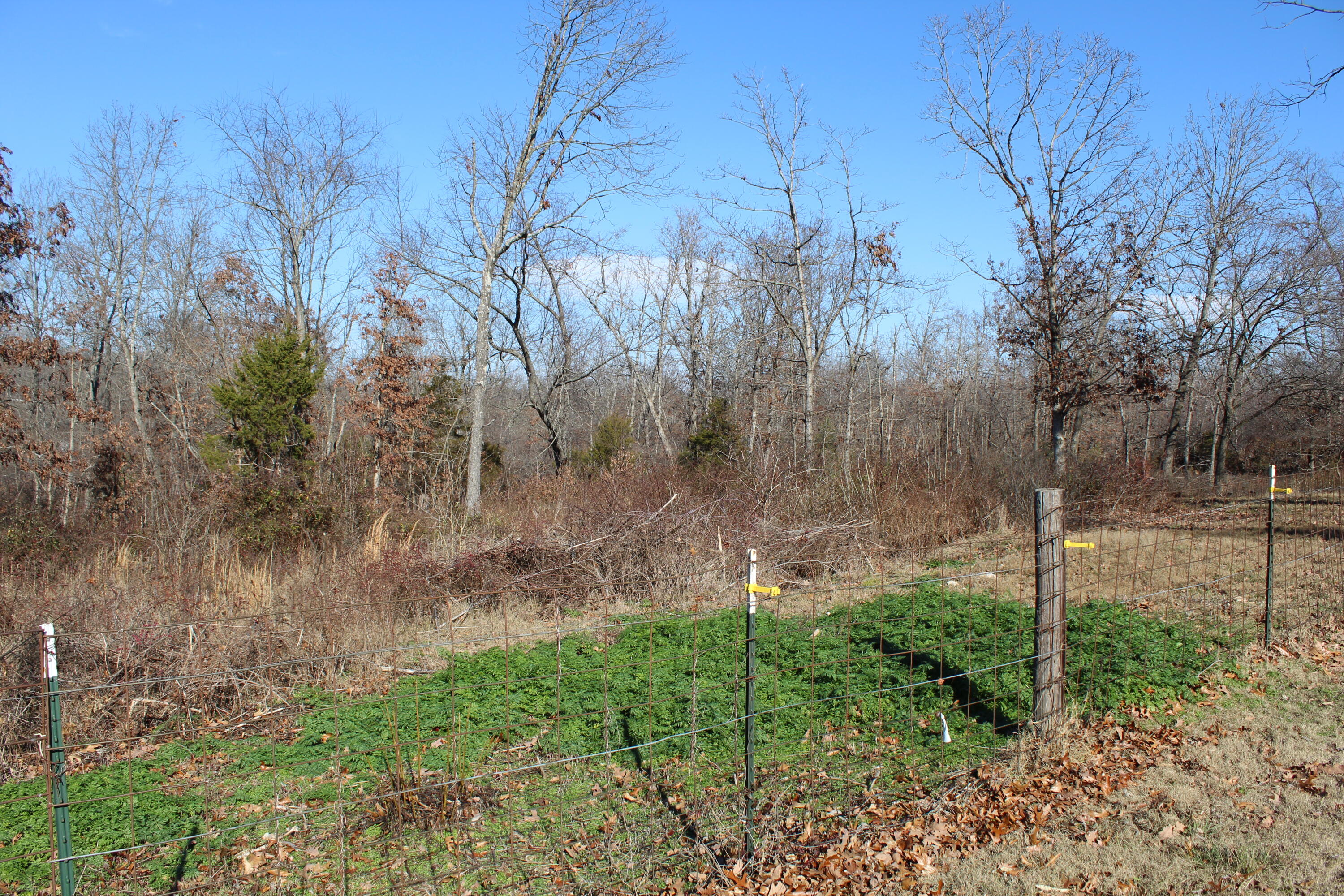 10328 Farm Rd 1102 Property Photo 29