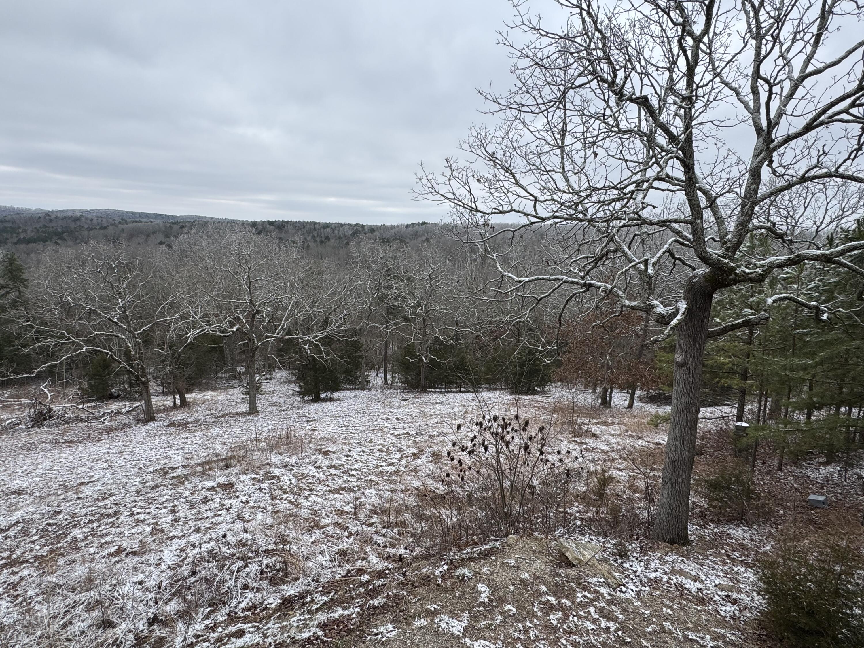 26312 County Road C-229 Property Photo 14
