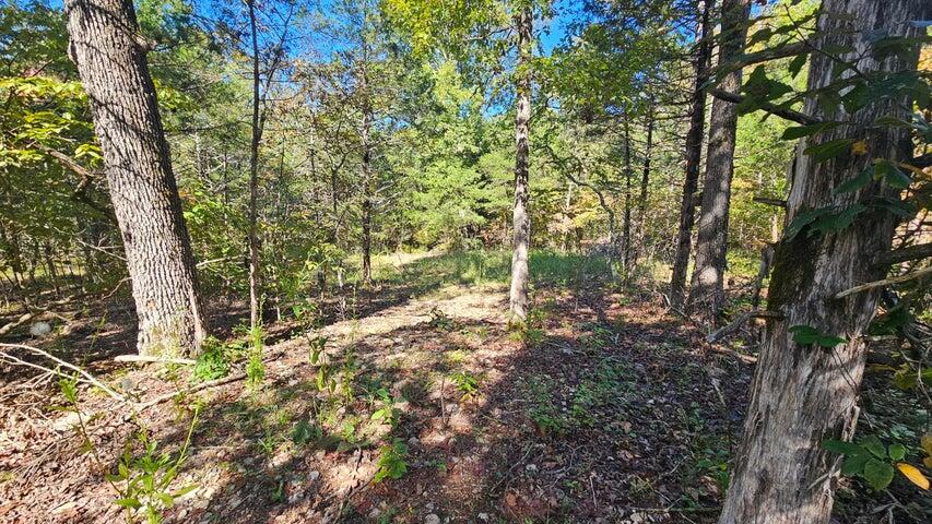 000 Rolling Hills Block 11 Lot 22 Property Photo 1
