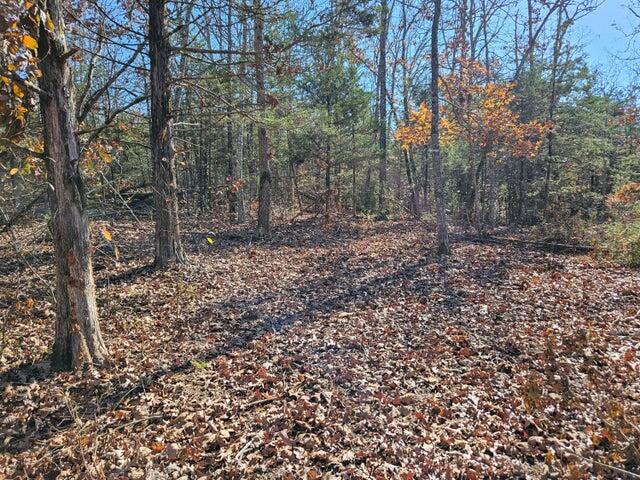 000 Rolling Hills Block 11 Lot 22 Property Photo 2