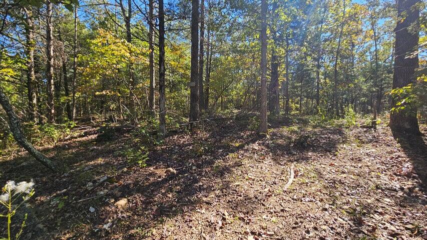 000 Rolling Hills Block 11 Lot 22 Property Photo 3