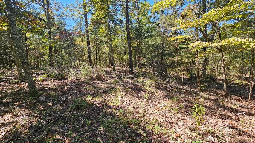 000 Rolling Hills Block 11 Lot 22 Property Photo 4
