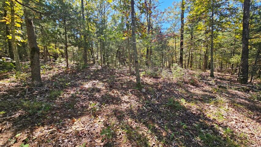 000 Rolling Hills Block 11 Lot 22 Property Photo 5