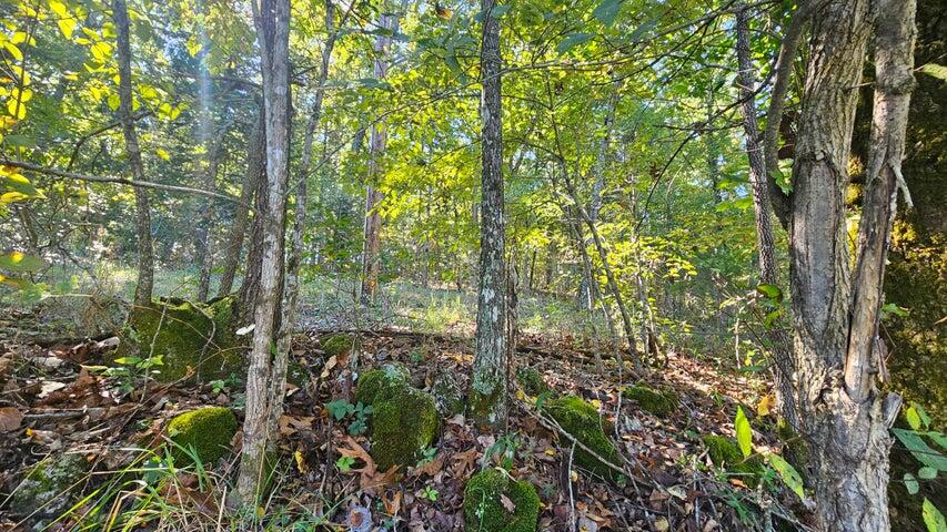 000 Eastwood Hills Block 6 Lot 2 Property Photo 2