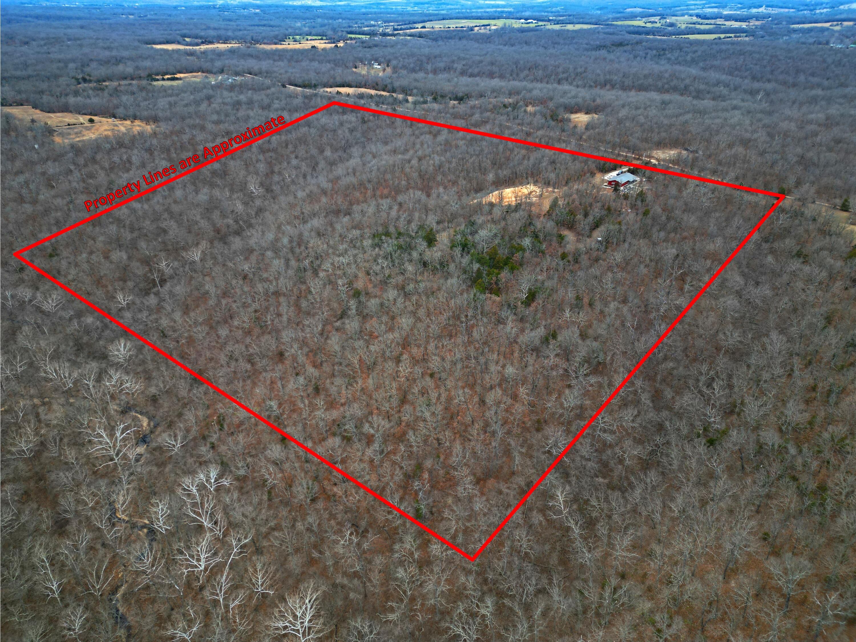 95 Deerfield Lane Property Photo 34