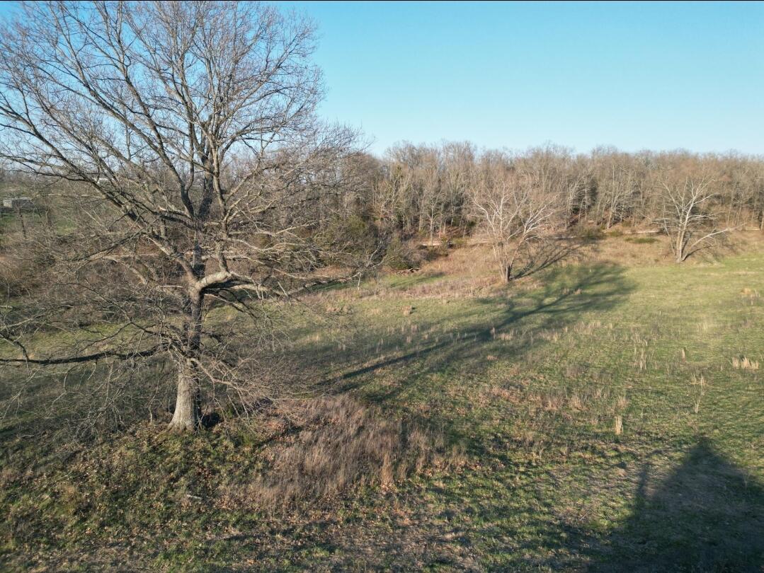 12510 Cr 503 Property Photo 41