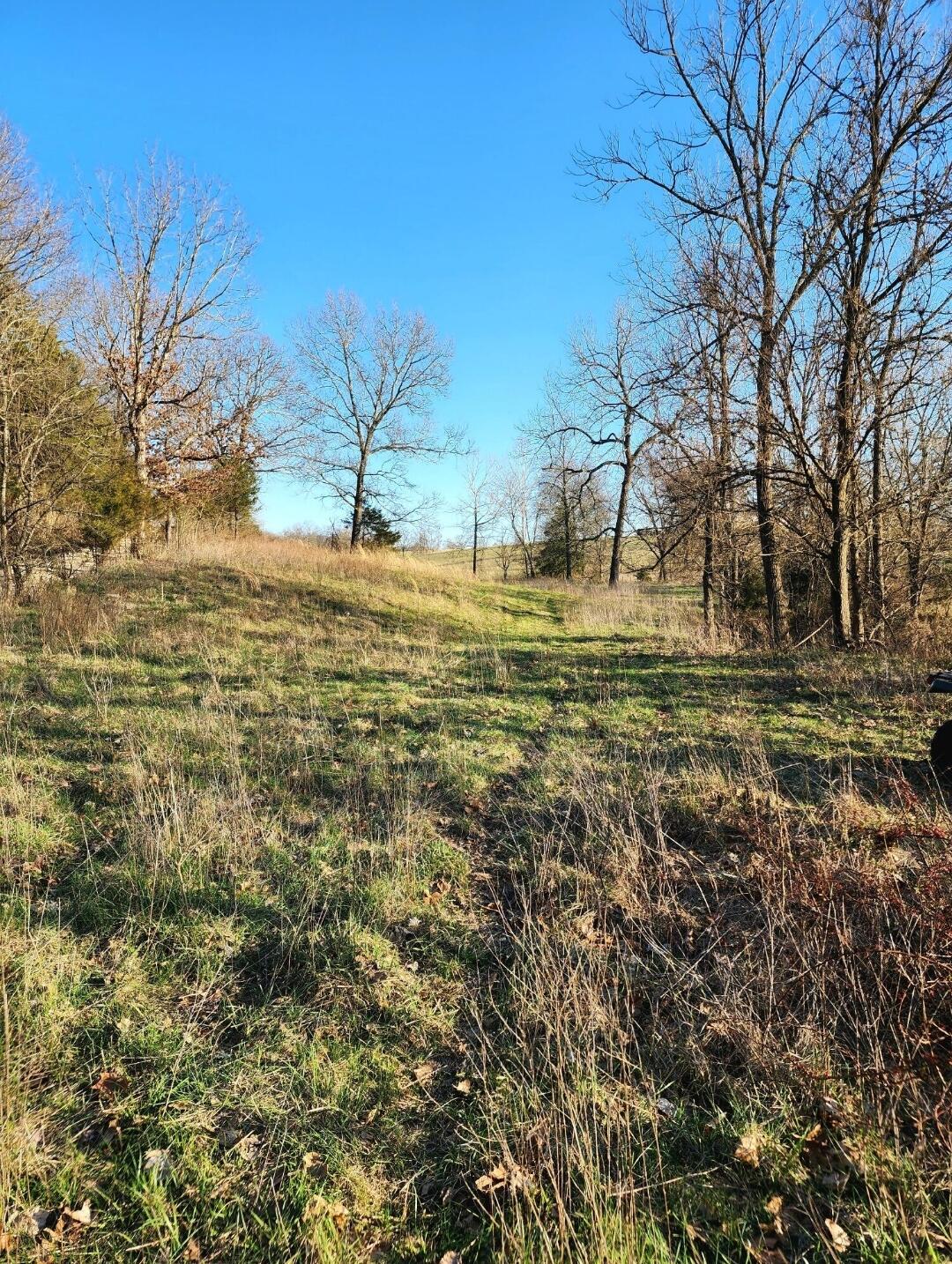 12510 Cr 503 Property Photo 44