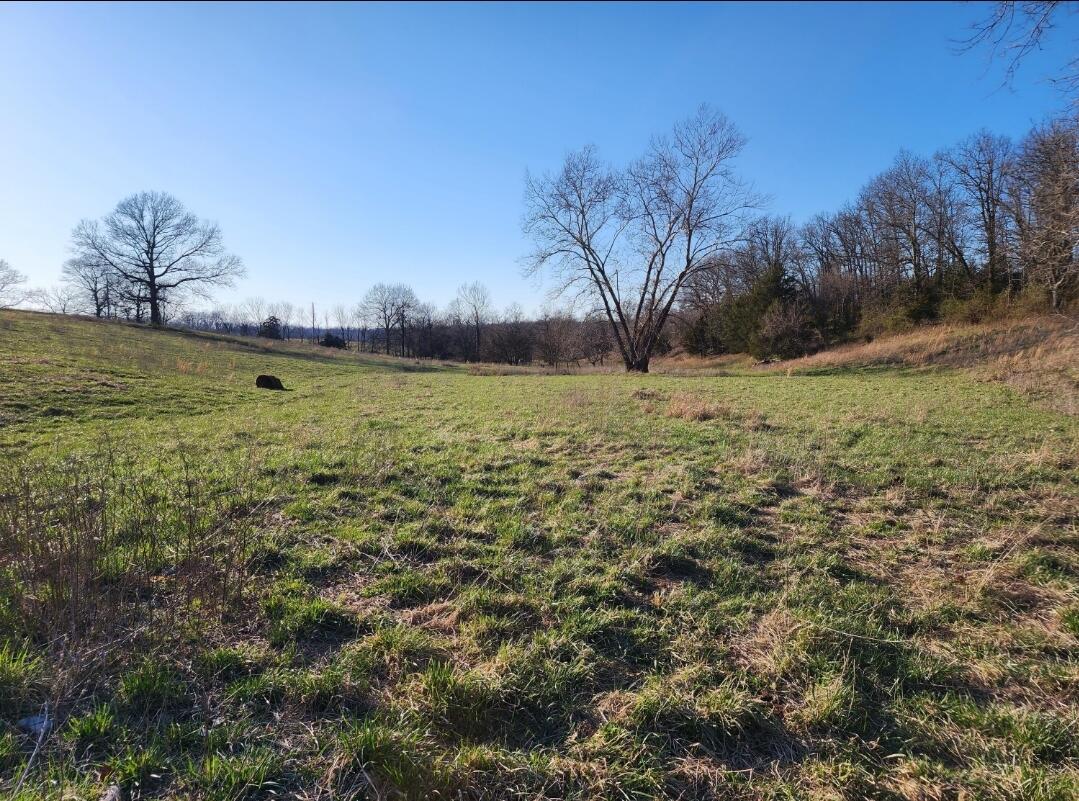 12510 Cr 503 Property Photo 47
