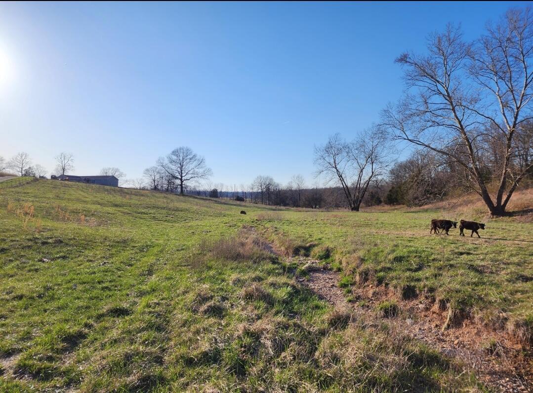 12510 Cr 503 Property Photo 48
