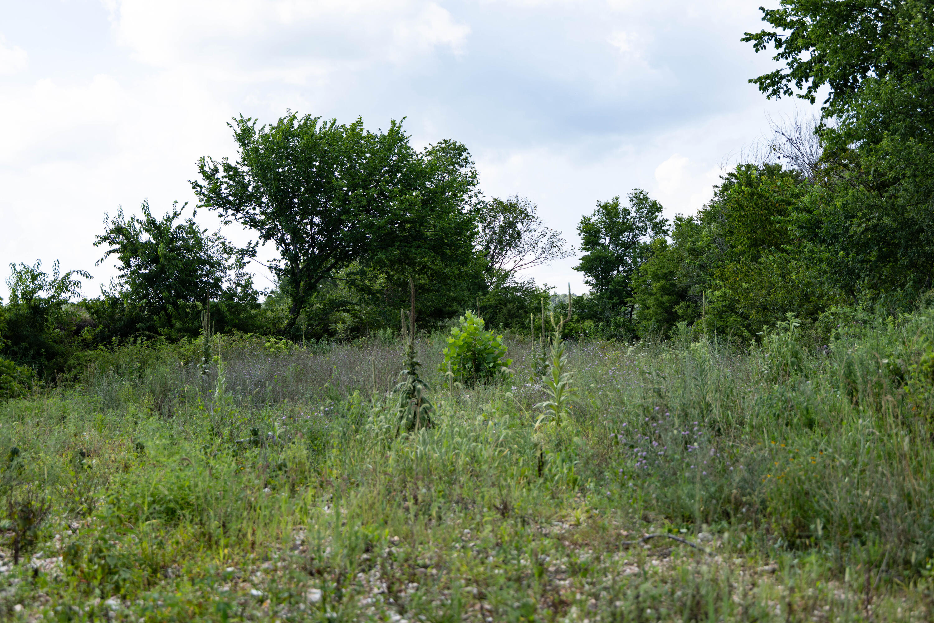 16406 Lawrence 2240 Property Photo 26