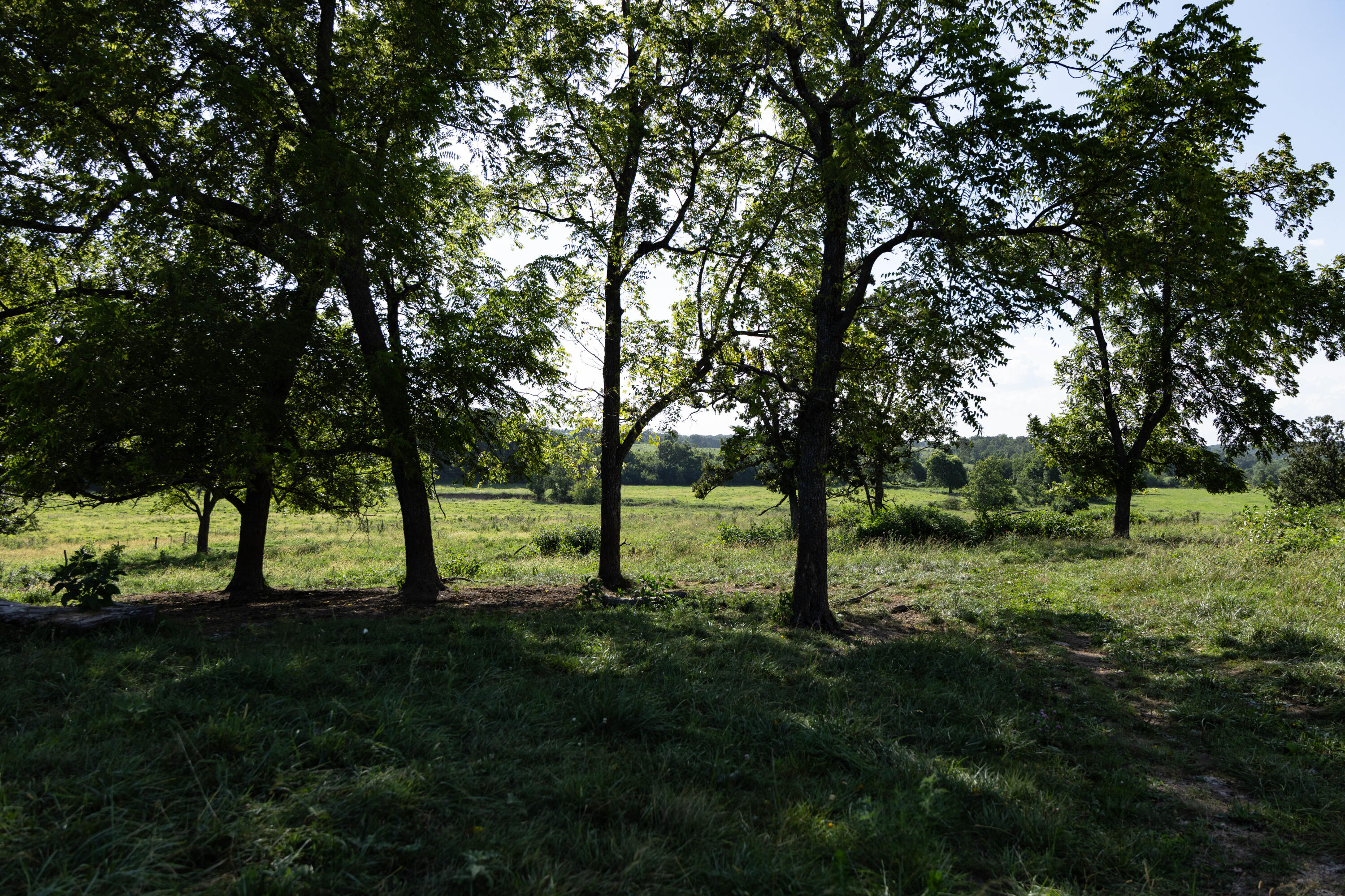 16406 Lawrence 2240 Property Photo 112