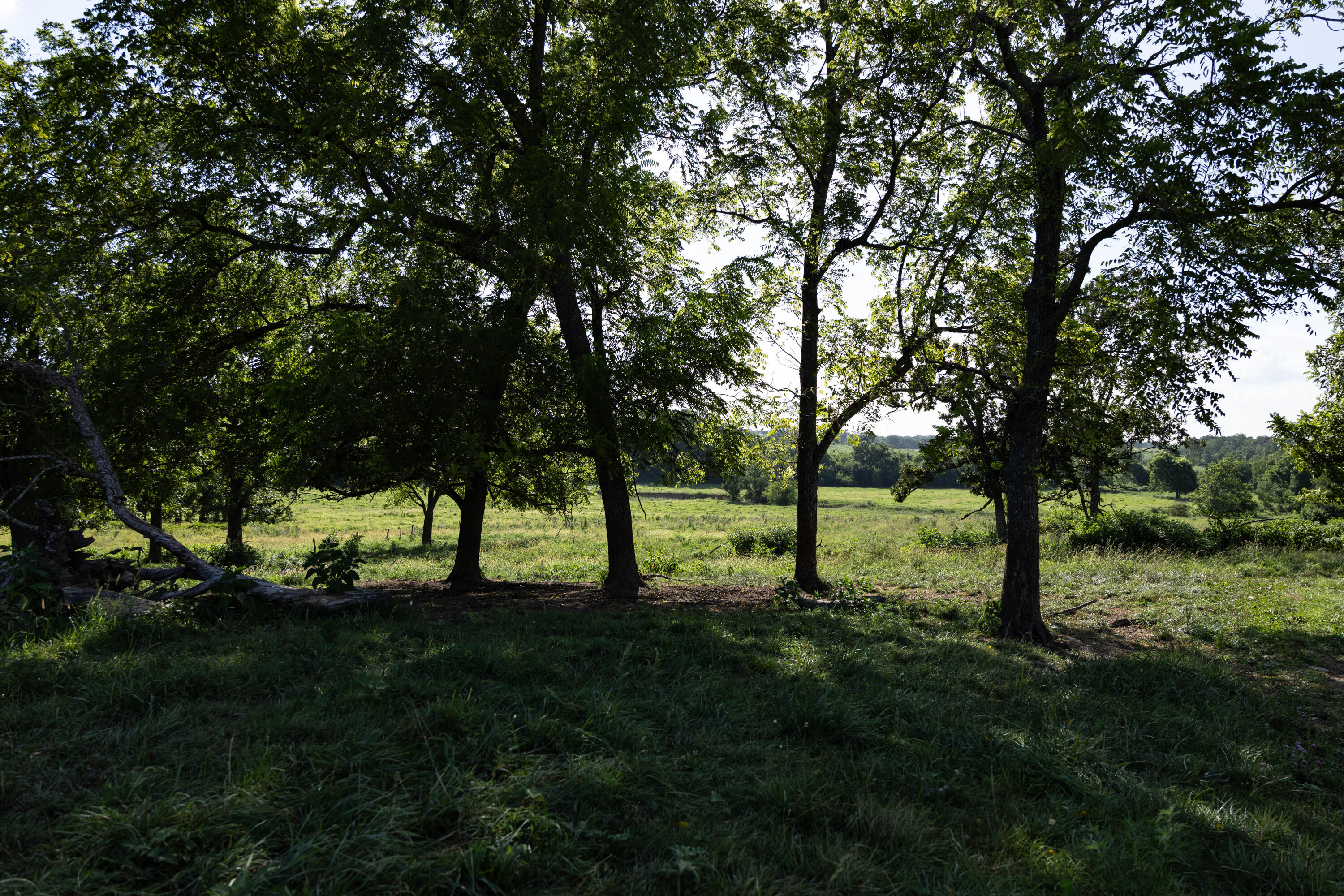 16406 Lawrence 2240 Property Photo 113