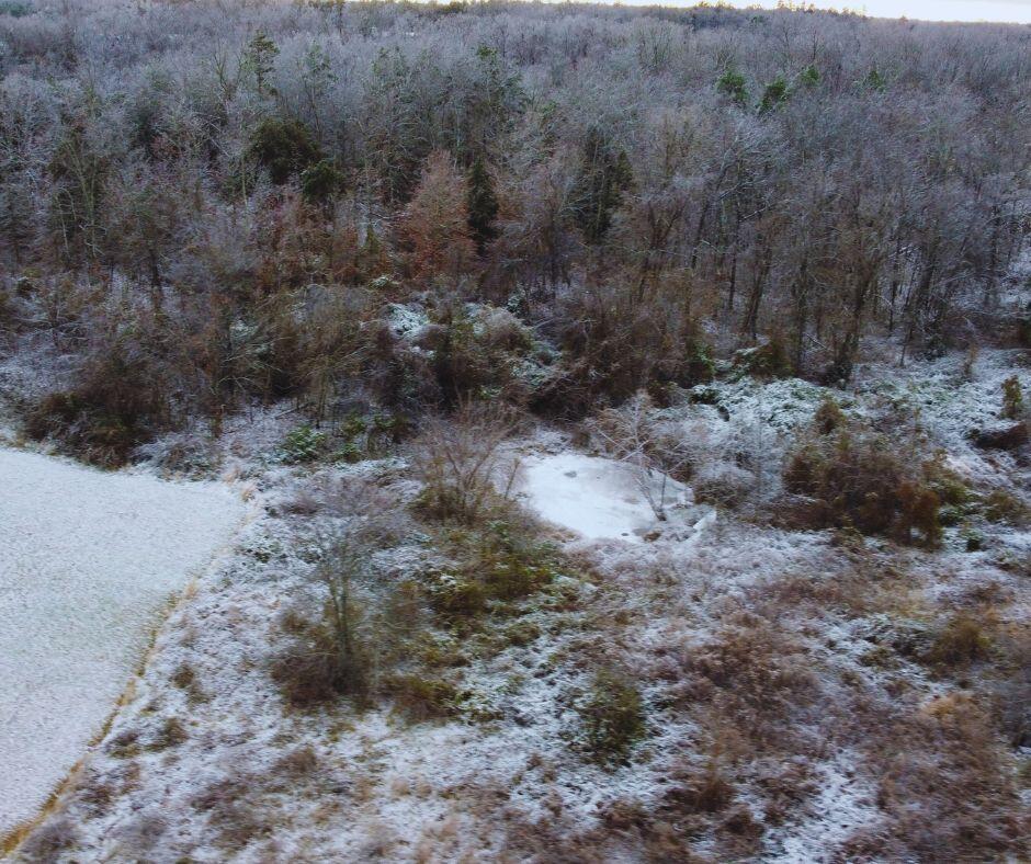 11302 County Road 456 Property Photo 32