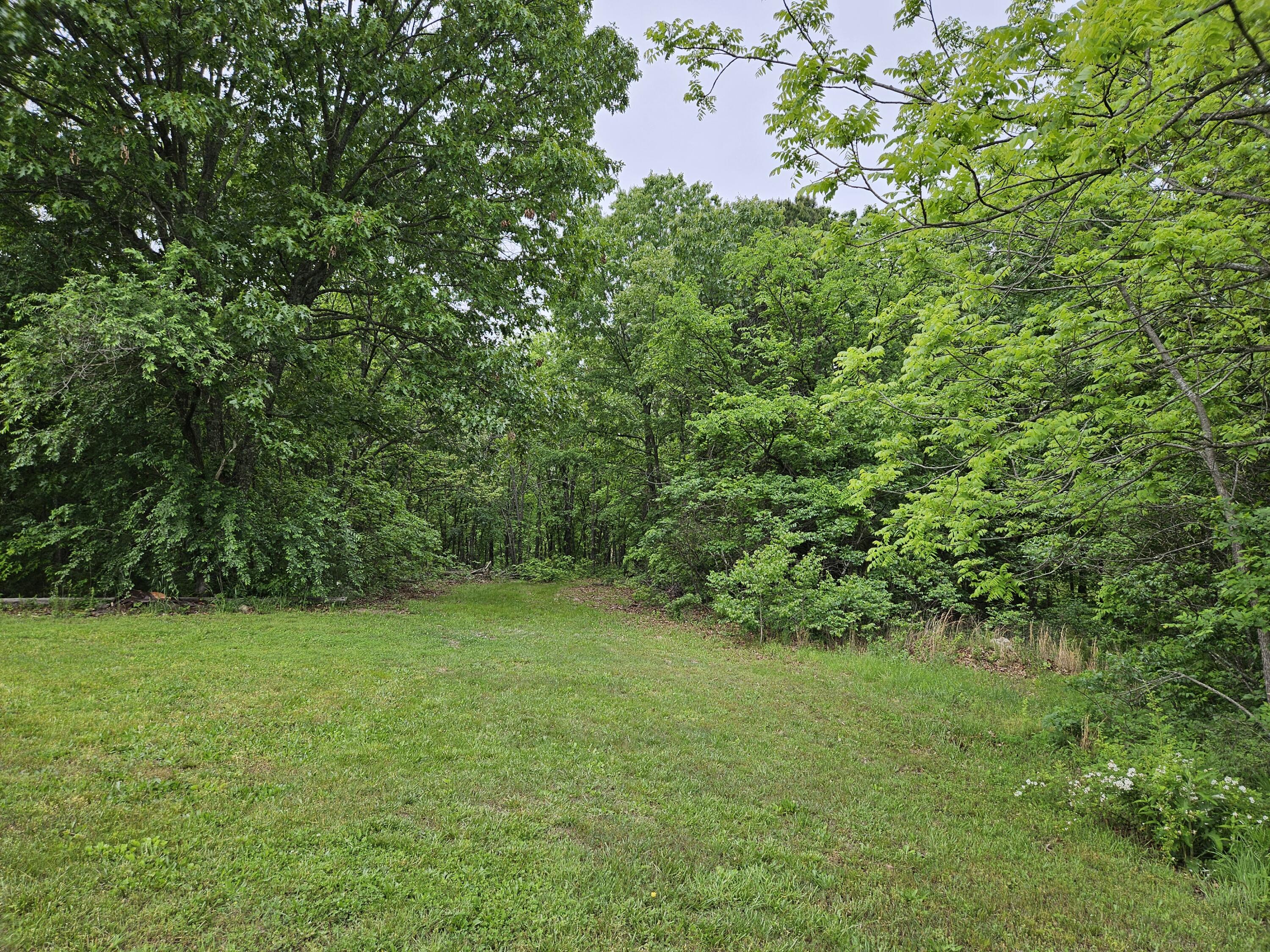21525 State Highway P Property Photo 8