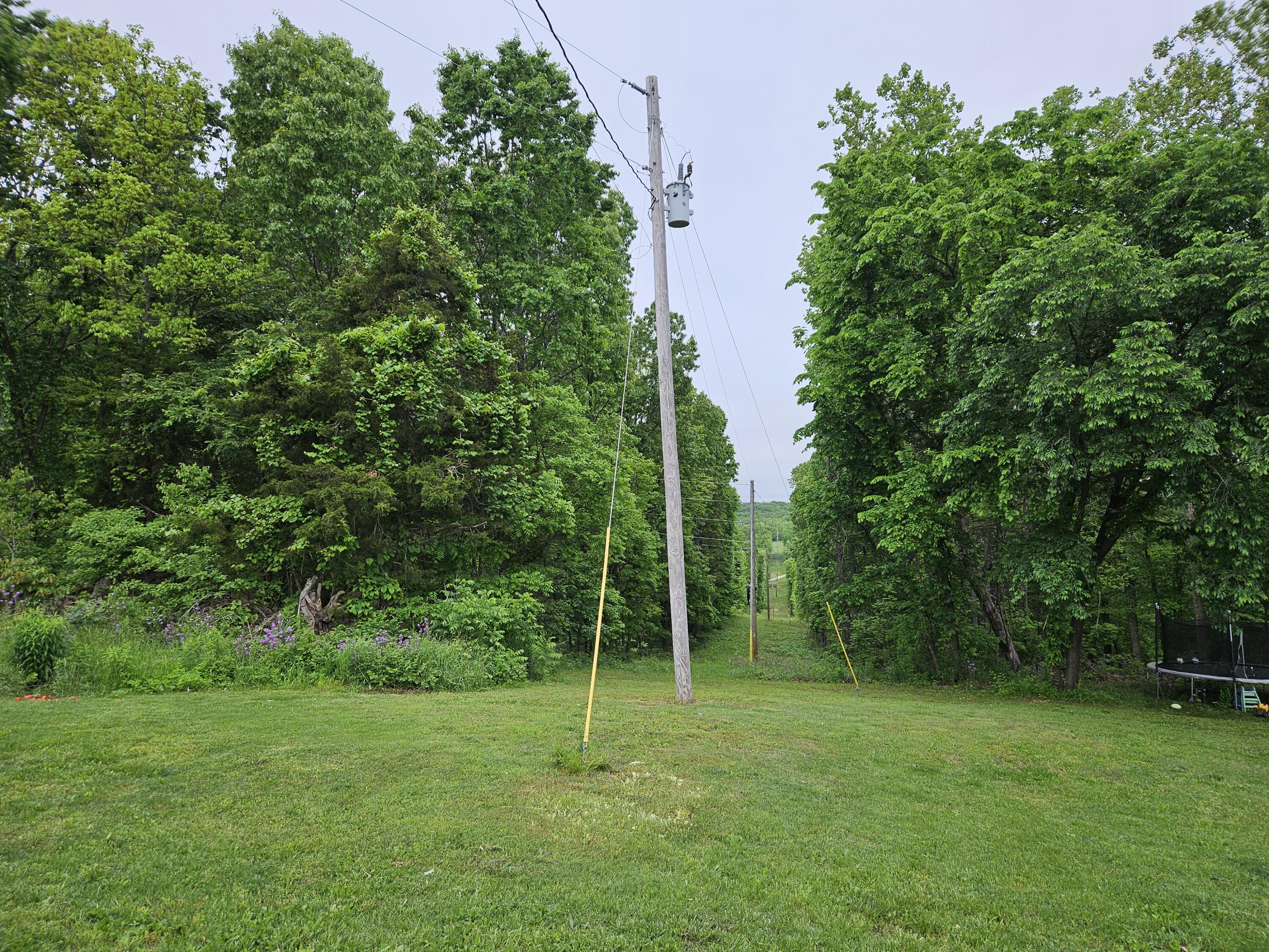 21525 State Highway P Property Photo 9