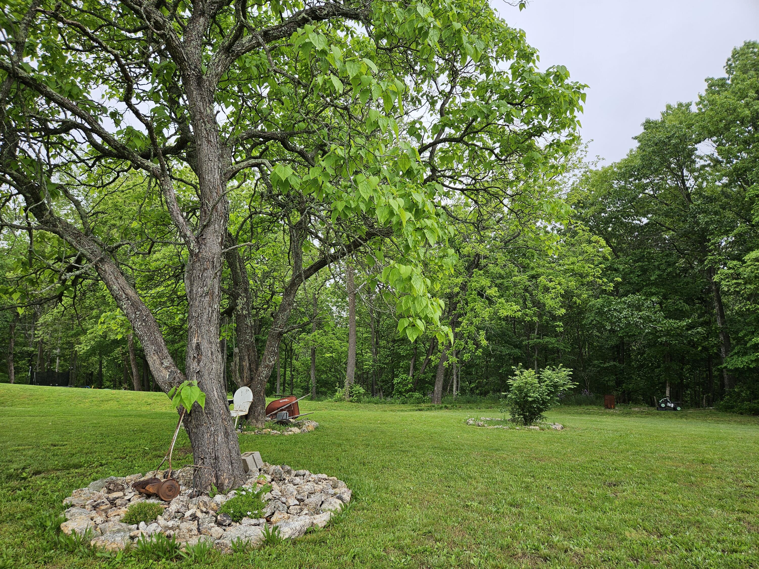 21525 State Highway P Property Photo 14