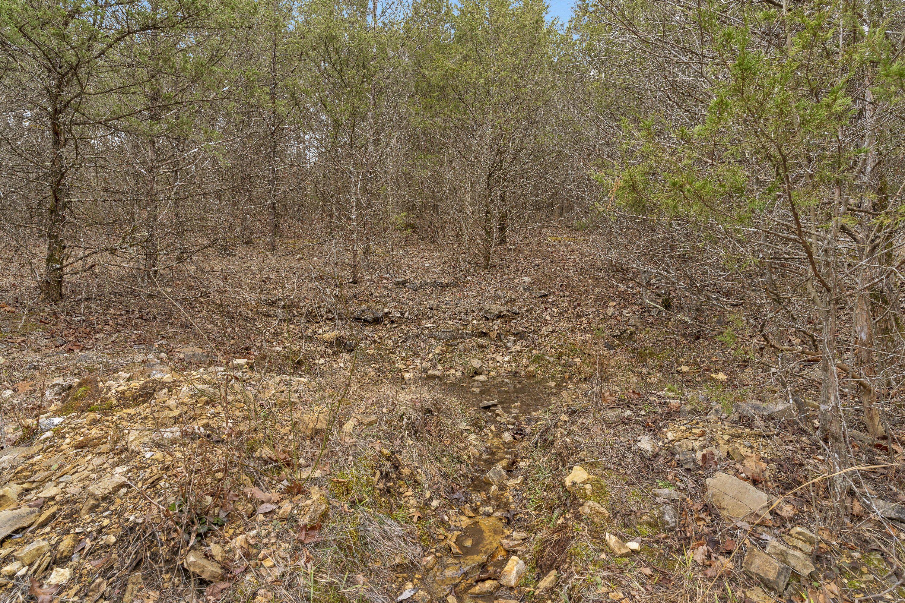 23120 State Hwy 76 Property Photo 61