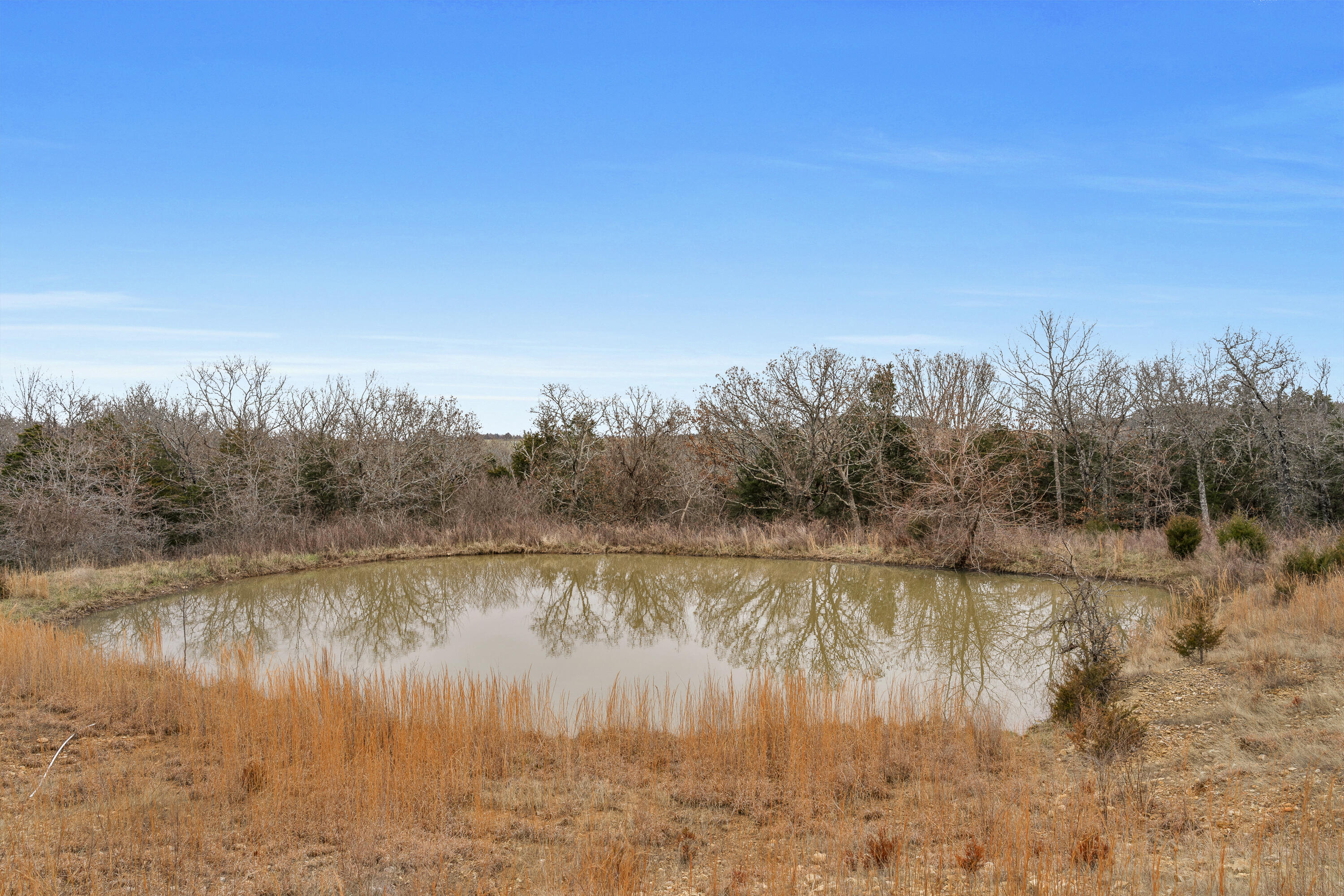 23120 State Hwy 76 Property Photo 65