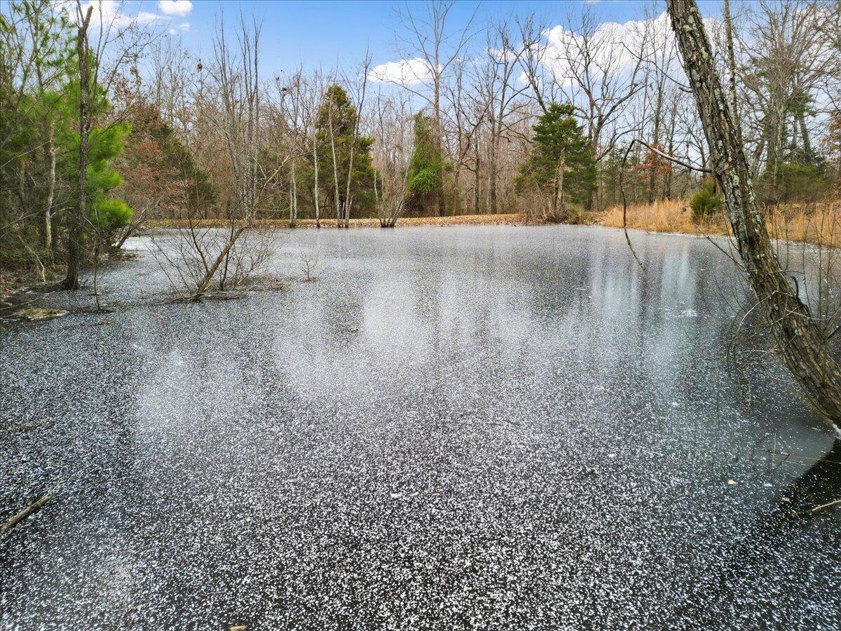 1588 Us Highway 160 Property Photo 24