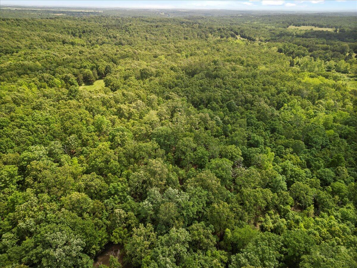 1588 Us Highway 160 Property Photo 26