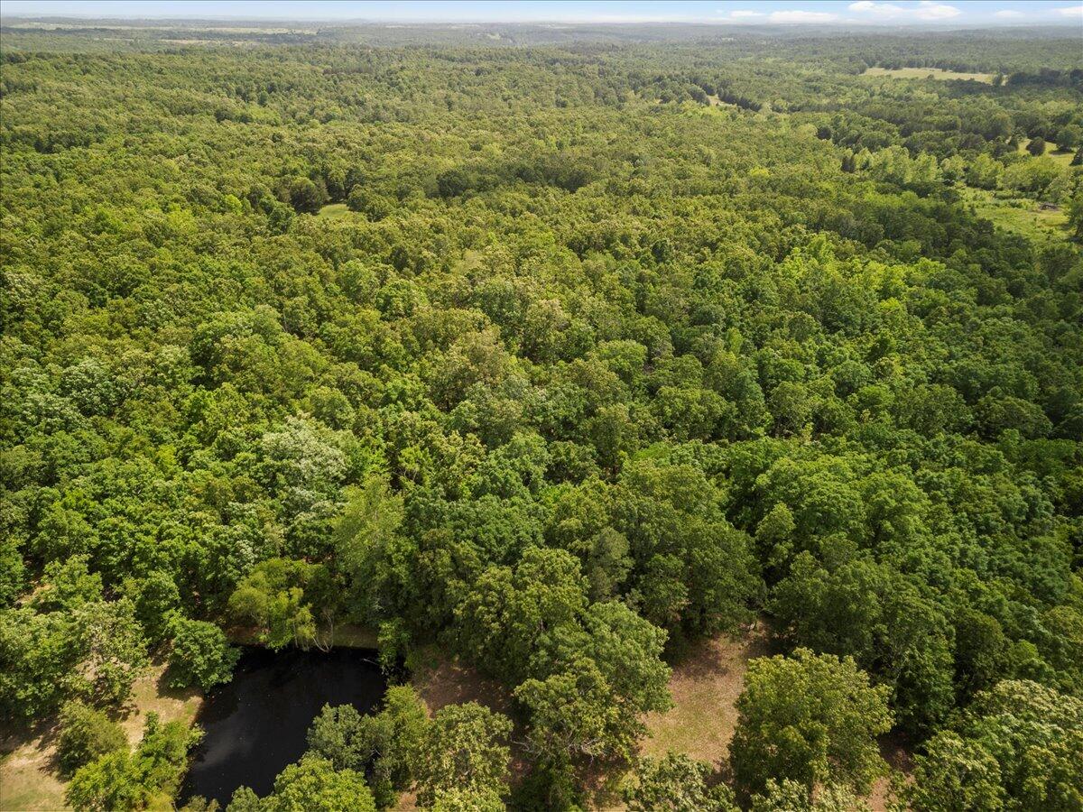 1588 Us Highway 160 Property Photo 33