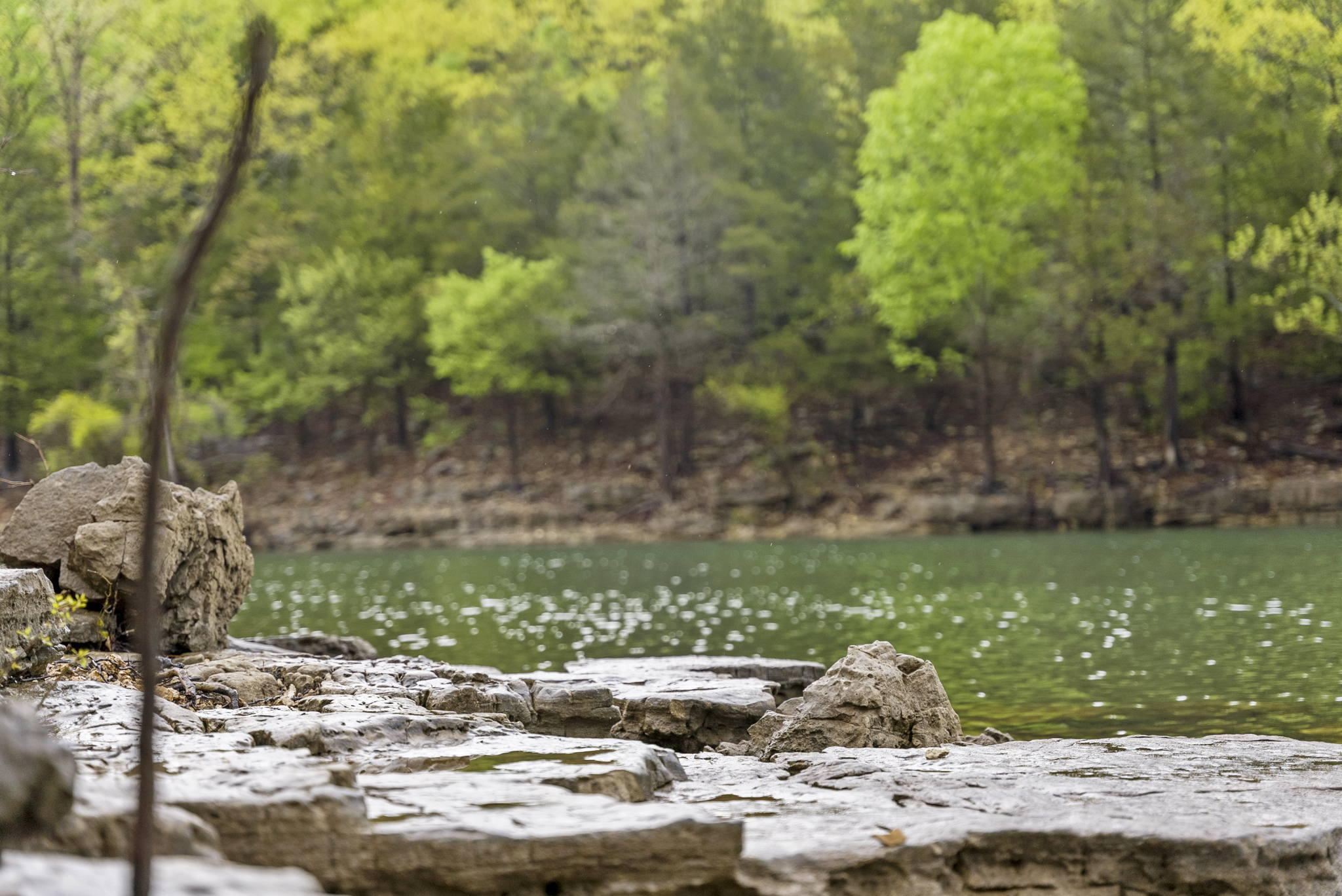 18 Goldfinch Drive Property Photo 50