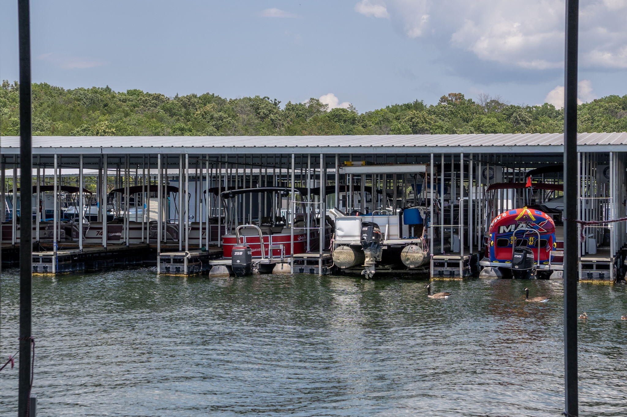 18 Goldfinch Drive Property Photo 77