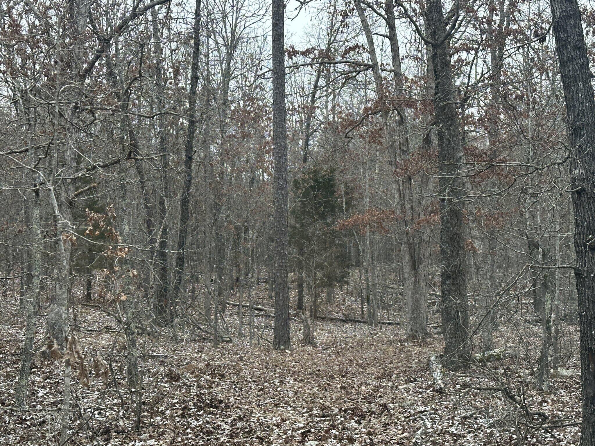 1018 State Route 14 Property Photo 4