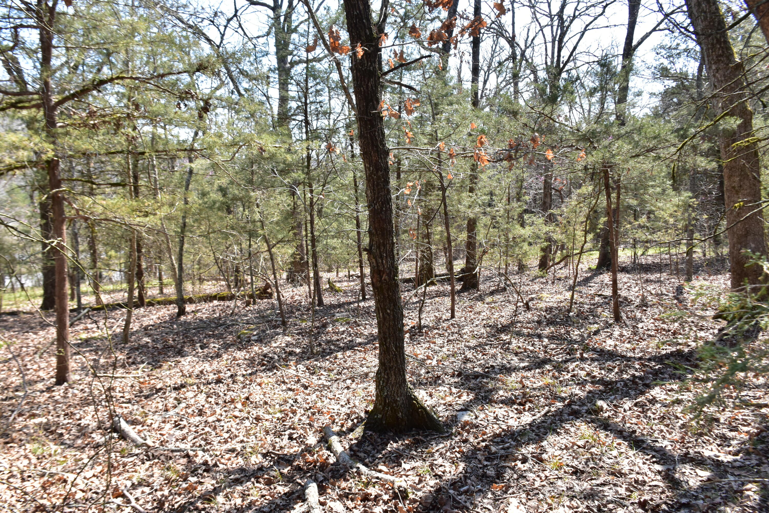 000 Burk Road Property Photo 3