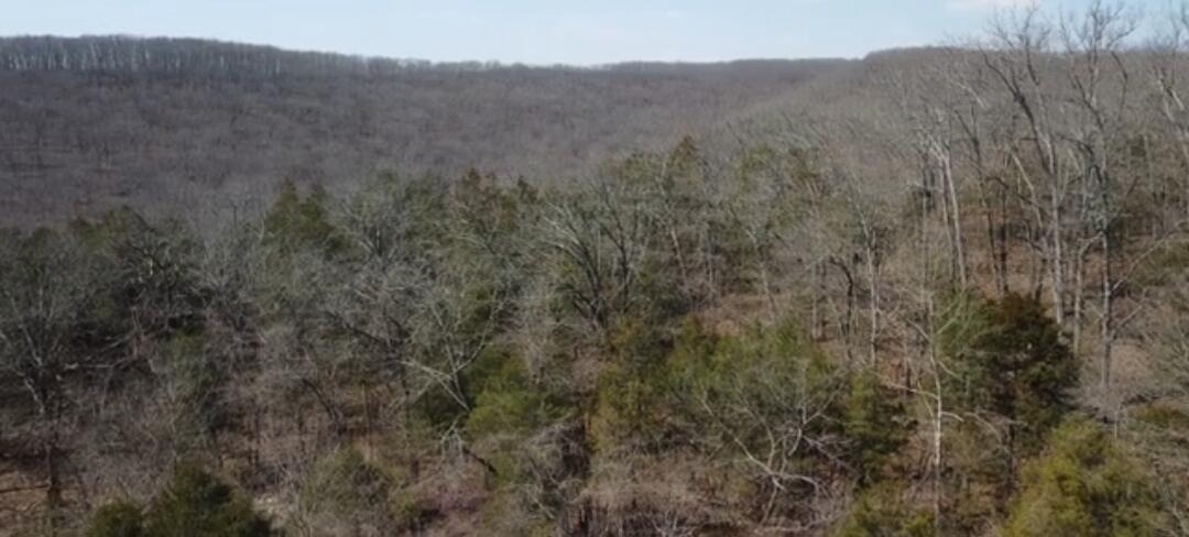 000 Burk Road Property Photo 6
