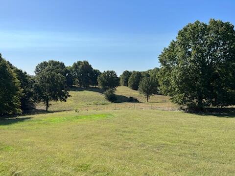 17242 State Hwy 76 Property Photo 3