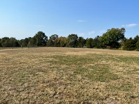 17242 State Hwy 76 Property Photo 12
