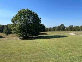 17242 State Hwy 76 Property Photo 16