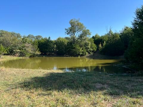 17242 State Hwy 76 Property Photo 19