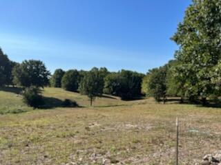 17242 State Hwy 76 Property Photo 17