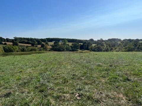 17242 State Hwy 76 Property Photo 22
