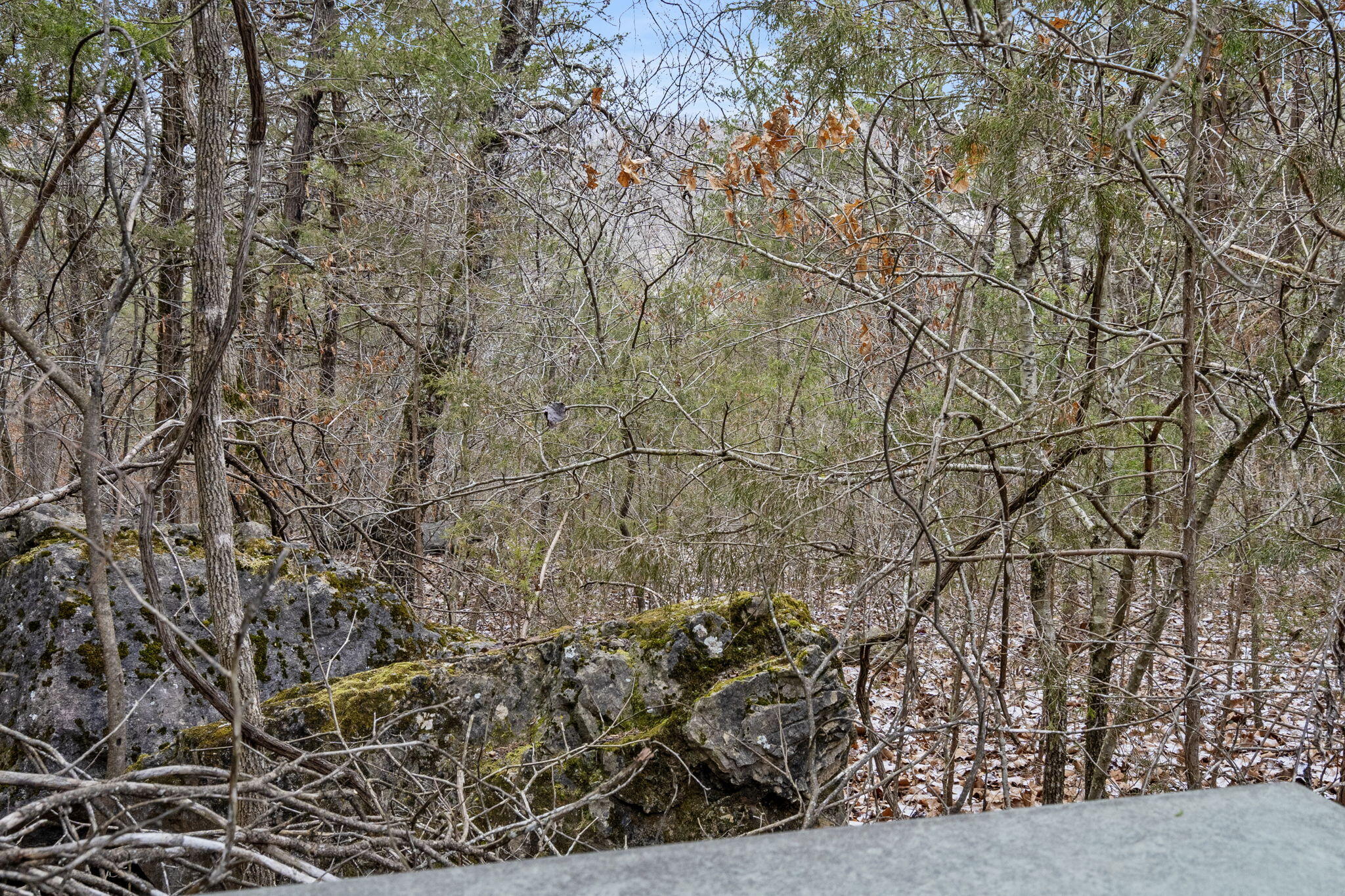 Lot 9 Ledges Way Property Photo 7