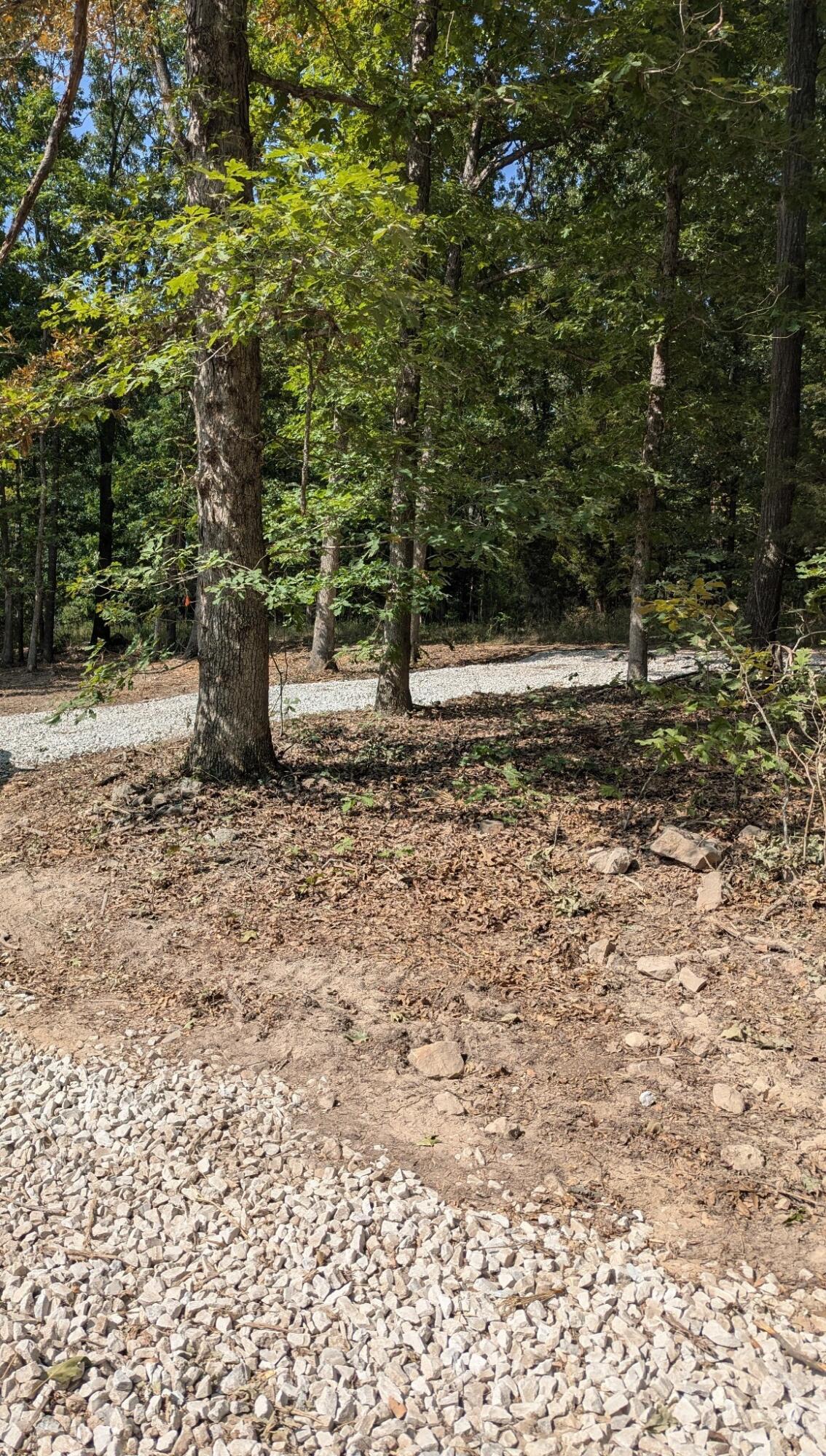 Tract 19 Tall Oaks Property Photo 3