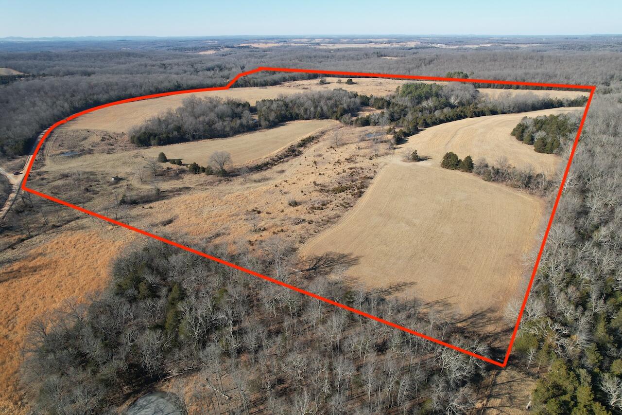 000 County Road 574 Property Photo 1
