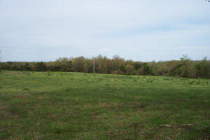000 County Road 574 Property Photo 2