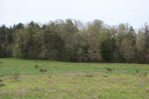 000 County Road 574 Property Photo 7