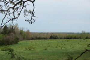 000 County Road 574 Property Photo 8