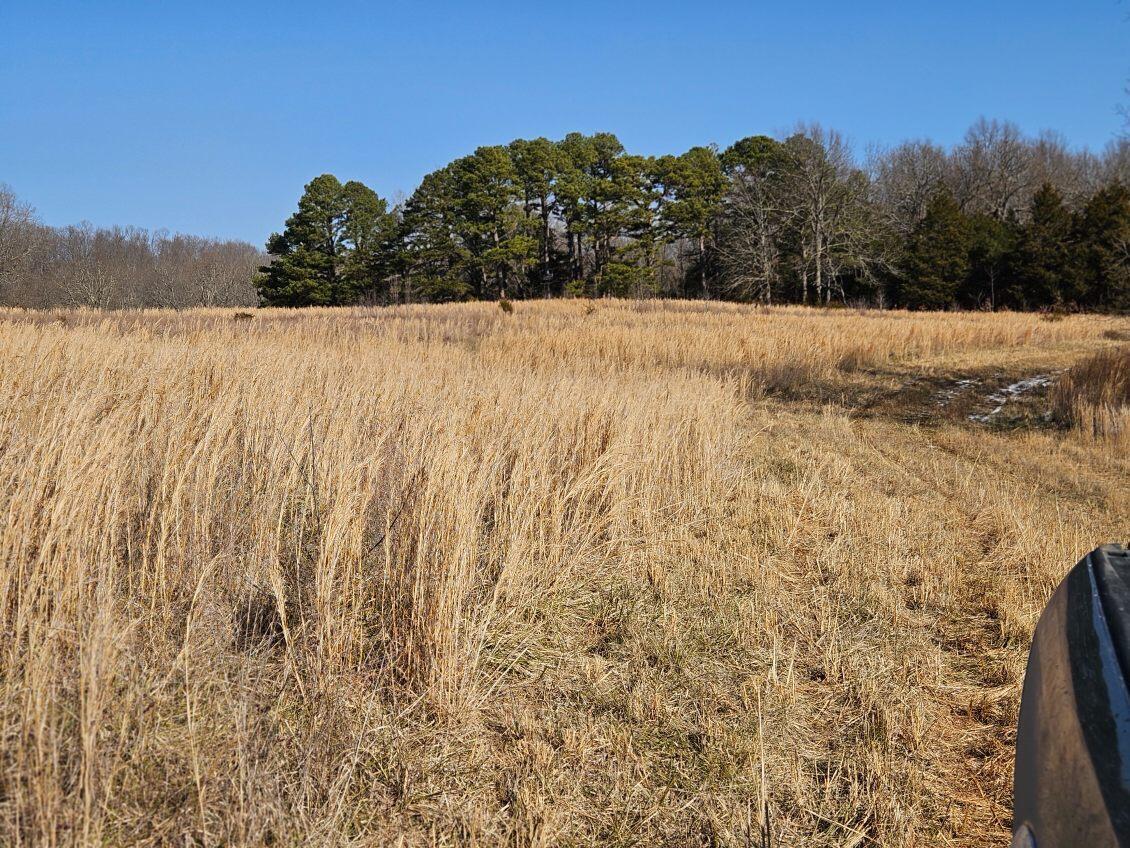 000 County Road 574 Property Photo 11