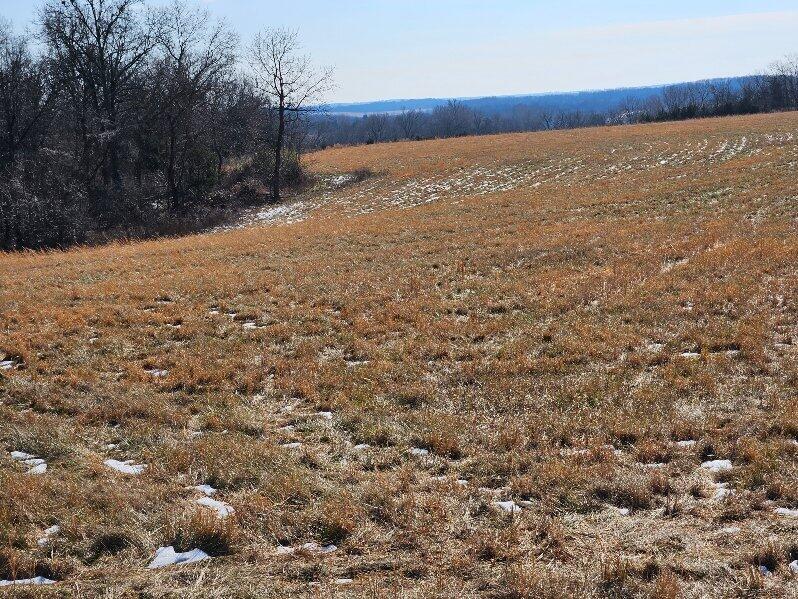 000 County Road 574 Property Photo 12